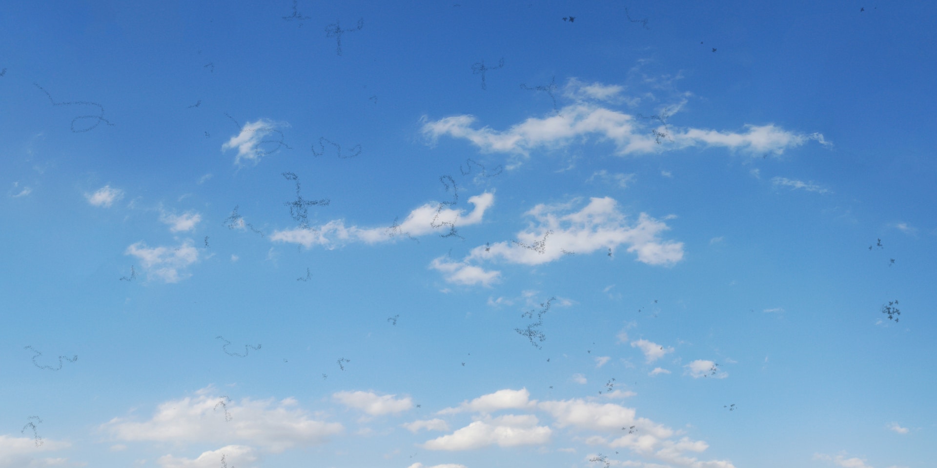 moscas volantes síntomas causas y tratamiento blog de oftalmosalud
