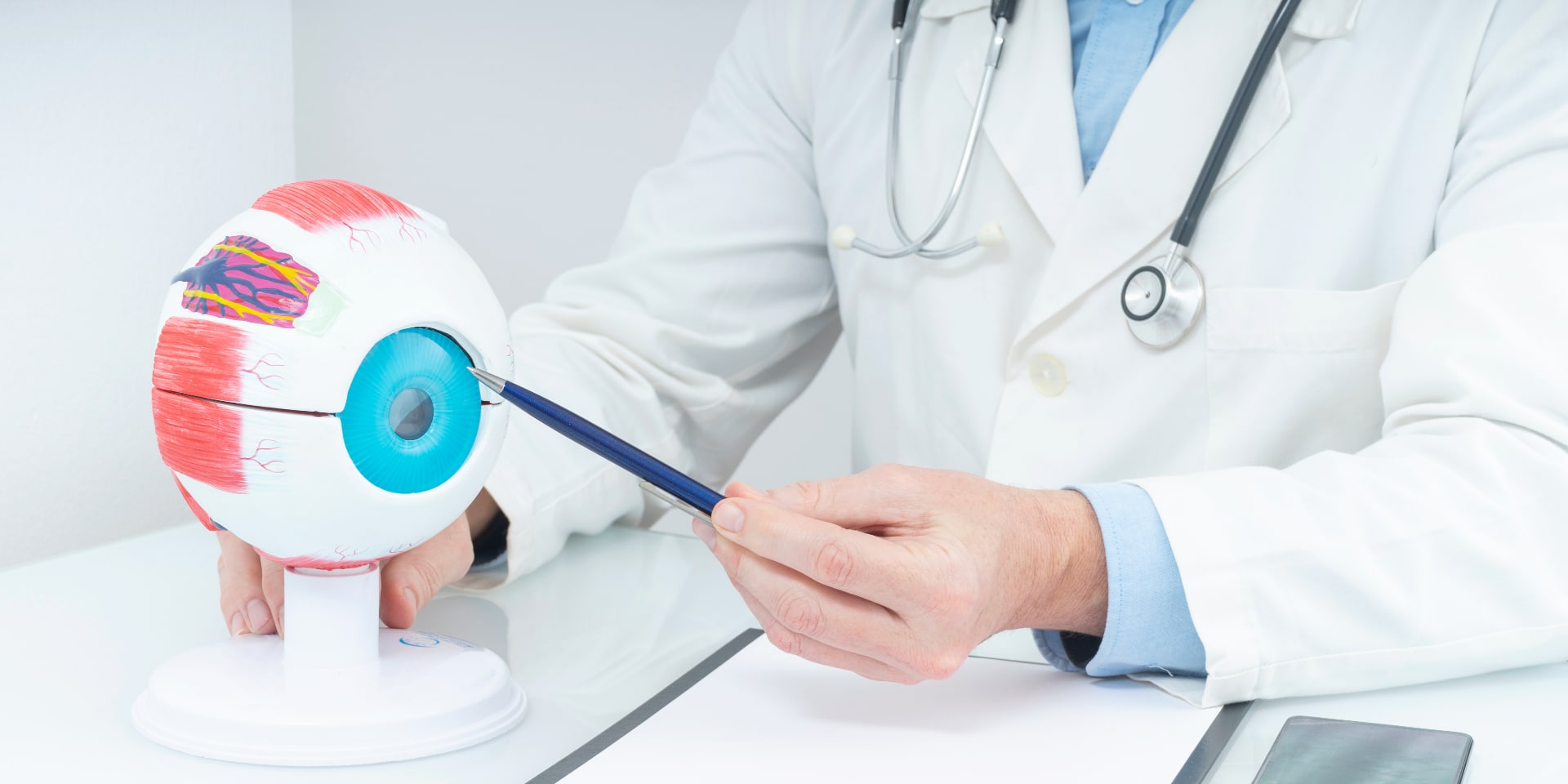 Hierbas que Mejoran la Salud Ocular: Un Enfoque Natural para una Visión Óptima